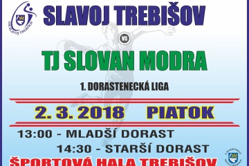 Hádzaná: Slavoj Trebišov - TJ Slovan Modra