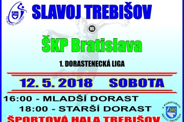 Hádzaná: HK Slavoj Trebišov - ŠKP Bratislava