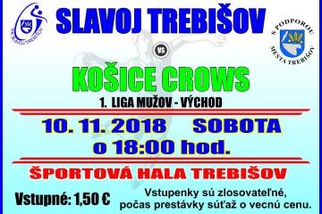 Hádzaná: Slavoj Trebišov - Košice CROWS