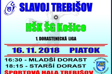 Hádzaná: Slavoj Trebišov - HŠK ŠG Košice