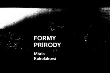FORMY PRÍRODY/ Mária Kekeláková